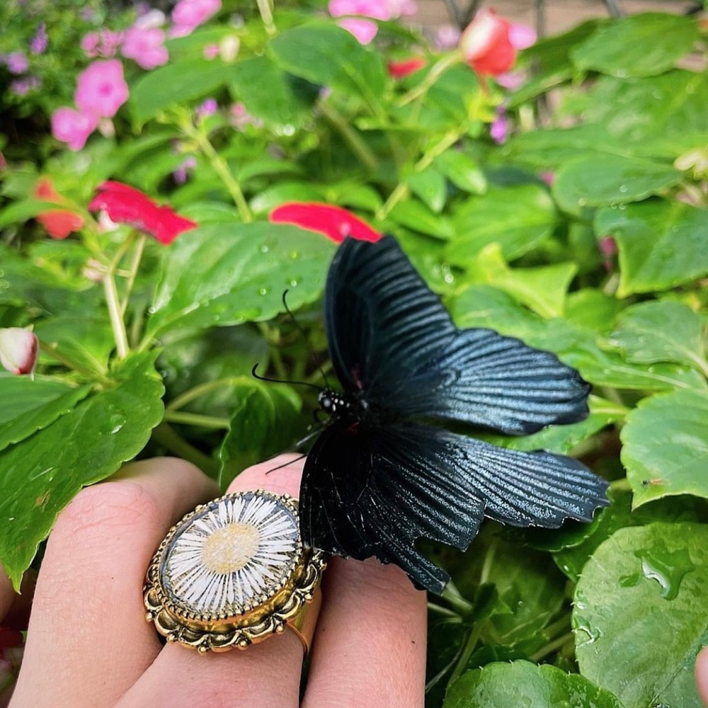 Daisy adjustable ring - Picture 2 of 2